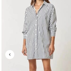La Lavon Striped Button-Down Shirt Dress